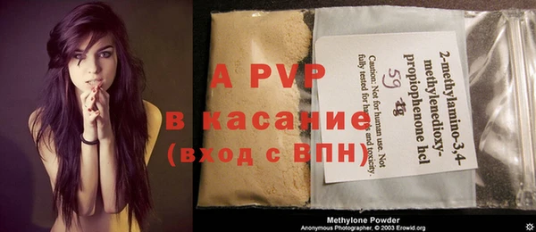 прущие грибы Баксан