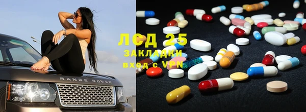 прущие грибы Баксан