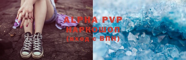прущие грибы Баксан