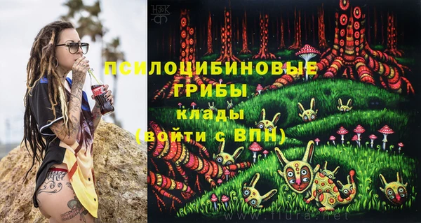 прущие грибы Баксан