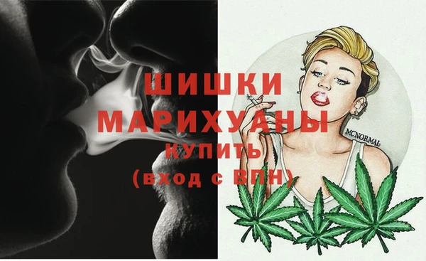 прущие грибы Баксан
