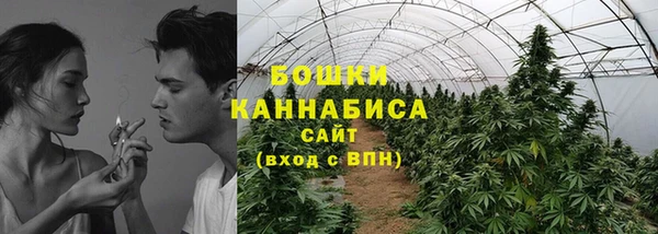 прущие грибы Баксан