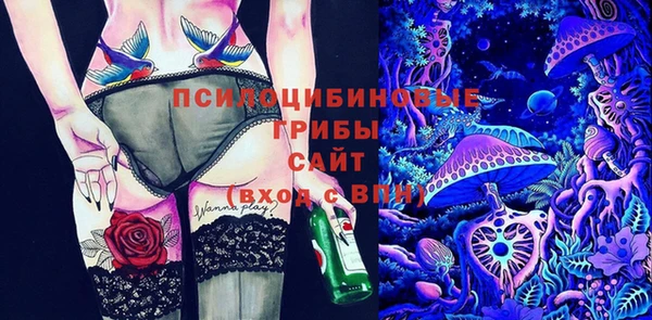 прущие грибы Баксан