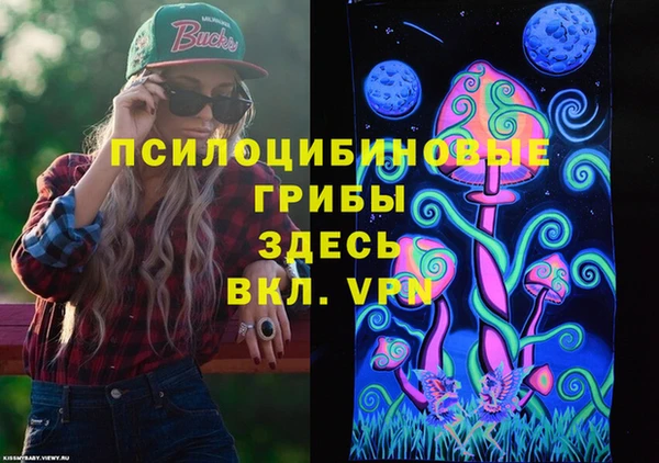 прущие грибы Баксан