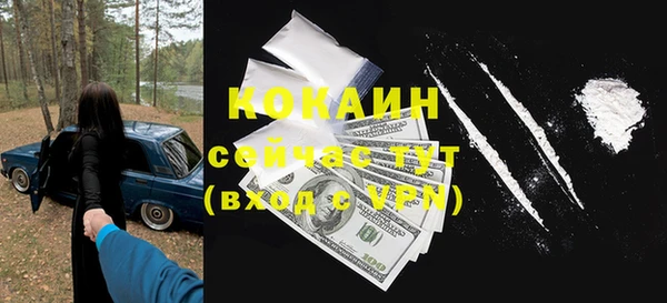 прущие грибы Баксан
