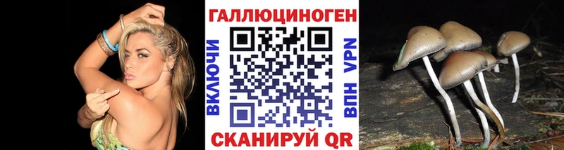 купить   МЕГА ТОР  Галлюциногенные грибы мухоморы  Татарск 